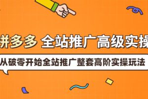 （3605期）拼多多全站推广高级实操：从破零开始全站推广整套高阶实操玩法