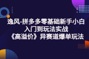 （3435期）逸风-拼多多零基础新手小白入门到玩法实战《高溢价》异赛道爆单玩法实操课