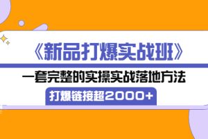 （3175期）《新品打爆实战班》一套完整的实操实战落地方法，打爆链接超2000+（28节课)