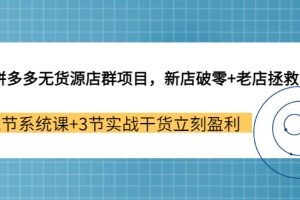 （3163期）拼多多无货源店群项目，新店破零+老店拯救 12节系统课+3节实战干货立刻盈利