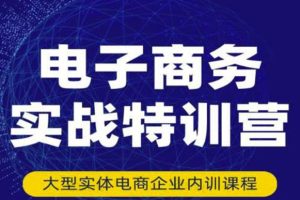 （3101期）电子商务实战特训营，全方位带你入门电商，308种方式玩转电商