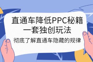 （3013期）直通车降低PPC秘籍，一套独创玩法：彻底了解直通车隐藏的规律