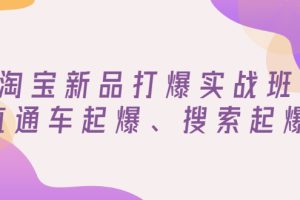 （2816期）淘宝新品打爆实战班，直通车起爆、搜索起爆（价值599元）