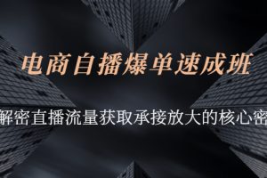 （2584期）电商自播爆单速成班：解密直播流量获取承接放大的核心密码