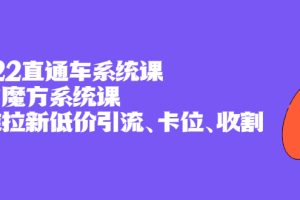 （2397期）2022直通车系统课+引力魔方系统课，精准拉新低价引流、卡位、收割