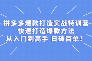 （2237期）拼多多爆款打造实战特训营：快速打造爆款方法，从入门到高手 日破百单