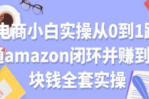 （1802期）电商小白实操从0到1跑通AMAZON闭环并赚到一块钱全套实操（无水印）