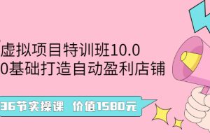 （2497期）虚拟项目特训班10.0，0基础打造自动盈利店铺 36节实操课