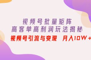 （4193期）视频号批量矩阵的高客单高利润玩法揭秘： 视频号引流与变现 月入10W+