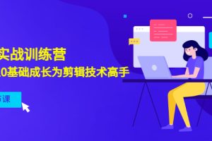 （3080期）剪辑实战训练营：带你从0基础成长为剪辑技术高手（20节课）