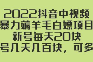 （2402期）2022抖音中视频暴力薅羊毛白嫖项目：新号每天20块，老号几天几百块，可多号