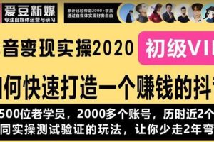 （1077期）《抖音变现实操2020》如何快速打造一个赚钱的抖音，新手也能操作-全新课程