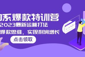 （5121期）2023淘系爆款特训营，2023最新运营打法，学习爆款思维，实现利润增长