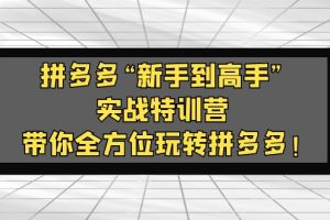 （5173期）拼多多“新手到高手”实战特训营：带你全方位玩转拼多多！