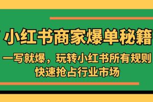 （5220期）小红书·商家爆单秘籍：一写就爆，玩转小红书所有规则，快速抢占行业市场