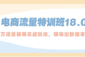 （5232期）电商流量特训班18.0，直引万流量破局实操玩法，现场出数据拿结果