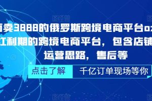 （5245期）俄罗斯跨境电商平台ozon运营，包含店铺申请，运营思路，售后等（无水印）