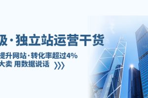 （5279期）亿级·独立站运营干货：全面提升网站·转化率超过4%，轻松大卖 用数据说话