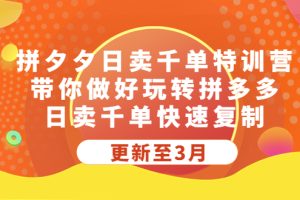 （5282期）拼夕夕日卖千单特训营，带你做好玩转拼多多，日卖千单快速复制 (更新至3月)