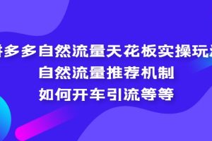 （5327期）拼多多自然流量天花板实操玩法：自然流量推荐机制，如何开车引流等等