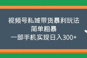 （5544期）视频号私域带货暴利玩法，简单粗暴，一部手机实现日入300+