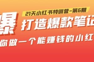 （5598期）21天小红书特训营-第6期，打造爆款笔记，带你做一个能赚钱的小红书！