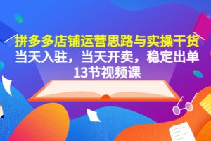 （5695期）拼多多店铺运营思路与实操干货，当天入驻，当天开卖，稳定出单（13节课）