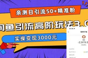 （5739期）实测日引50+精准粉，闲鱼引流高阶玩法3.0，实操变现3000元