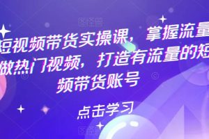 （5773期）热门短视频带货实战 掌握流量密码 做热门视频 打造有流量的短视频带货账号