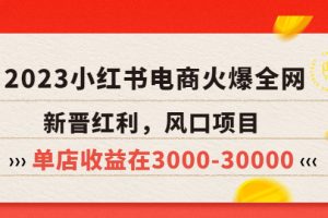 （5840期）2023小红书电商火爆全网，新晋红利，风口项目，单店收益在3000-30000！