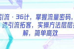 （5899期）引流·36计，掌握流量密码，快速引流拓客，实操方法层层拆解，简单高效