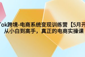 （6058期）TikTok跨境-电商系统变现训练营【5月新课】从小白到高手，真正的电商实操课