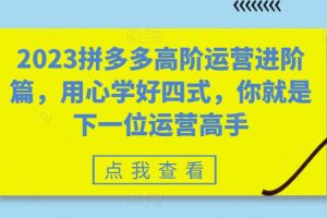 （6193期）2023拼多多高阶运营进阶篇，用心学好四式，你就是下一位运营高手