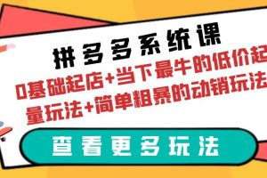 （6217期）拼多多系统课：0基础起店+当下最牛的低价起量玩法+简单粗暴的动销玩法