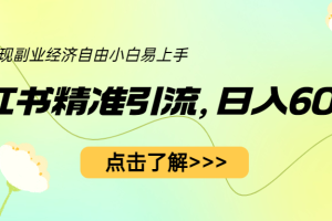 （6515期）小红书精准引流，小白日入600+，轻松实现副业经济自由（教程+1153G资源）