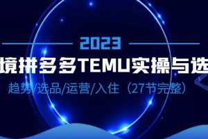 （6550期）2023跨境·拼多多·TEMU实操与选品，趋势·选品·运营·入住（27节完整）