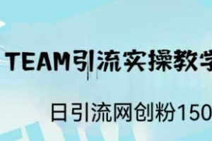 （6578期）ST TEAM引流实操课，日引流网创粉100+