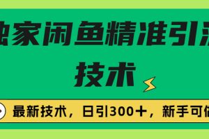 （6635期）独家闲鱼引流技术，日引300＋实战玩法