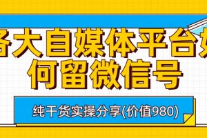 （6642期）各大自媒体平台如何留微信号，详细实操教学