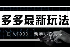 （6699期）价值4980的拼多多最新玩法，月入3w【新手小白必备项目】