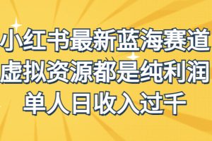 （6721期）外面收费1980的小红书最新蓝海赛道，虚拟资源都是纯利润，单人日收入过千