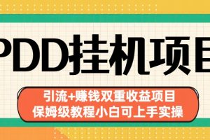 （6729期）拼多多挂机项目 引流+赚钱双重收益项目(保姆级教程小白可上手实操)