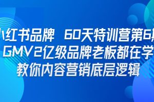 （6798期）小红书品牌 60天特训营第6期 GMV2亿级品牌老板都在学 教你内容营销底层逻辑