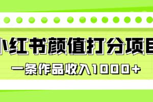 （6804期）适合0基础小白的小红书颜值打分项目，一条作品收入1000+