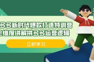 （6813期）拼多多·新时代爆款打造特训营，全维度讲解拼多多运营逻辑（21节课）