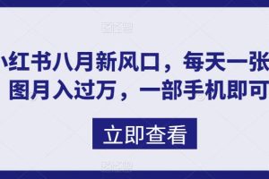 （6851期）八月新风口，小红书虚拟项目一天收入1000+，实战揭秘