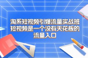 （6956）淘系短视频引爆流量实战班，短视频是一个没有天花板的流量入口