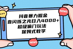 （6962期）抖音暴力掘金，靠闪烁之光日入4000+，超级偏门玩法  保姆式教学