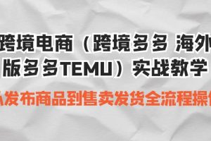 （6989期）跨境电商（跨境多多 海外版多多TEMU）实操教学 从发布商品到售卖发货全流程