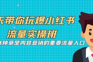 （7041期）5天带你玩爆小红书流量实操班，小红书种草是内容营销的重要流量入口